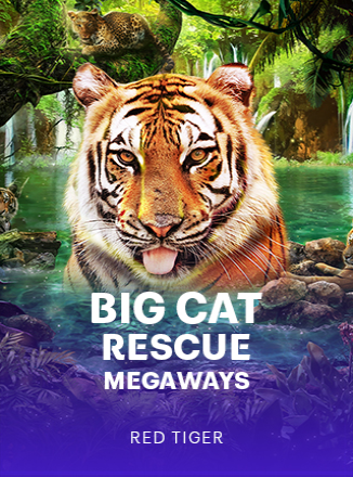 RTG_Big Cat Rescue Megaways_1716311172